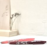 Pilot Frixion uitgumbare pen per 2 met pennenlus_